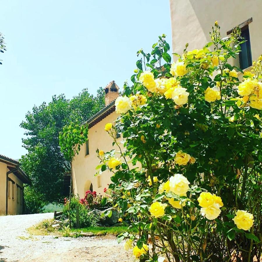 Agriturismo Il Covo Del Solengo Villa Valtopina Exteriör bild