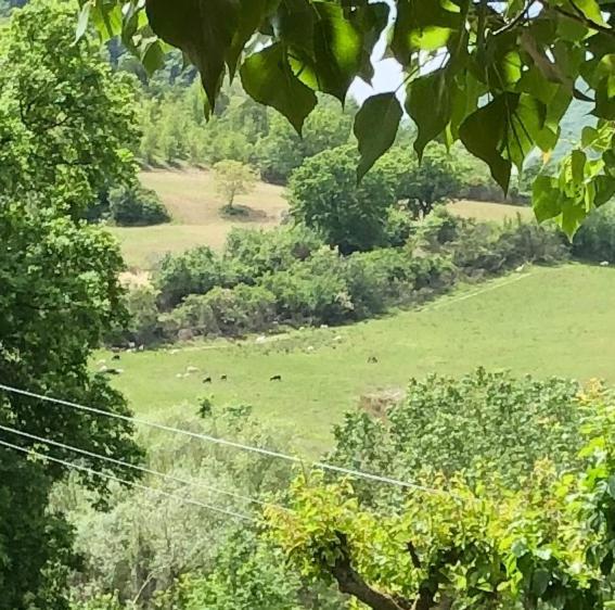 Agriturismo Il Covo Del Solengo Villa Valtopina Exteriör bild