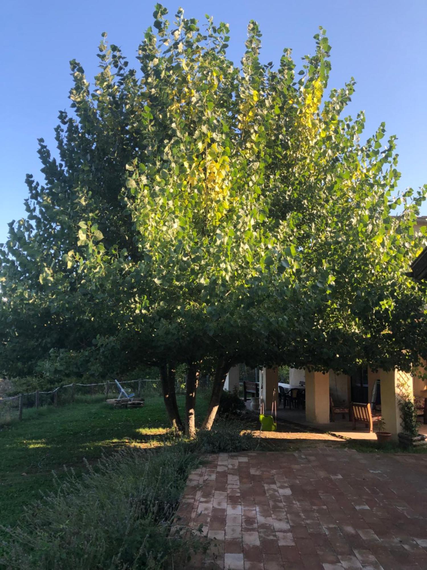 Agriturismo Il Covo Del Solengo Valtopina Exteriör bild